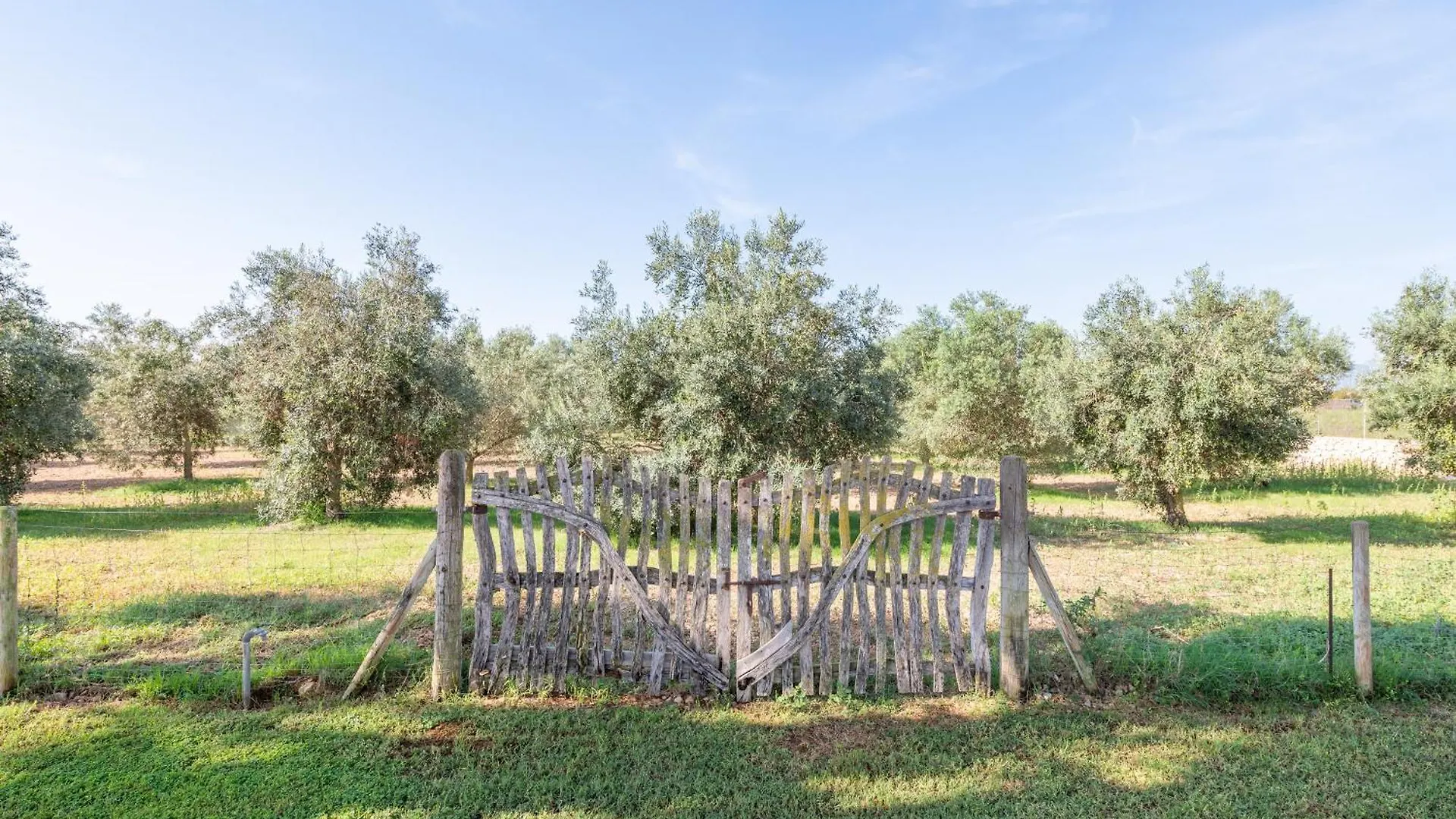 Finca Son Manyo 225 Sa Pobla Spain