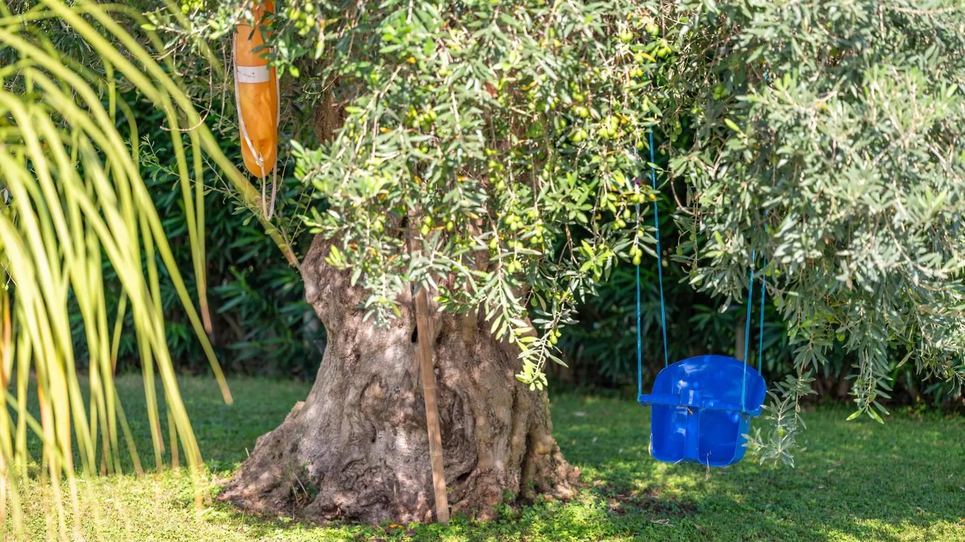 Finca Son Manyo 225 Sa Pobla 0*,  Spain
